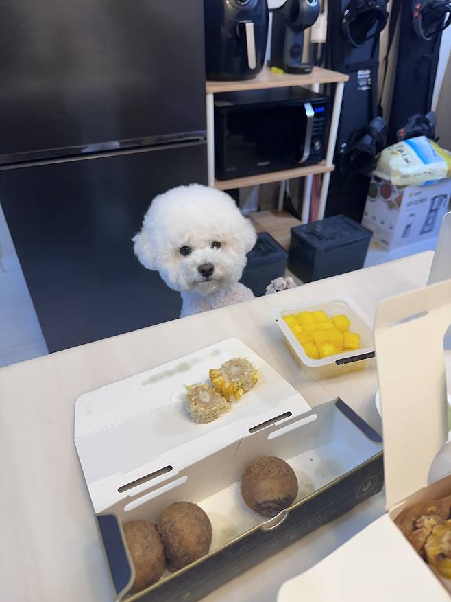 IMG_1894.jpeg 세상에서 가장 이쁜 강아지