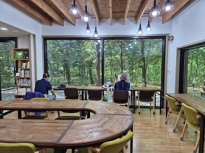 건지산 숲속 도서관에서 창밖을 바라보면 푸른 숲이 한눈에 들어온다. 창 쪽 자리는 인기다.