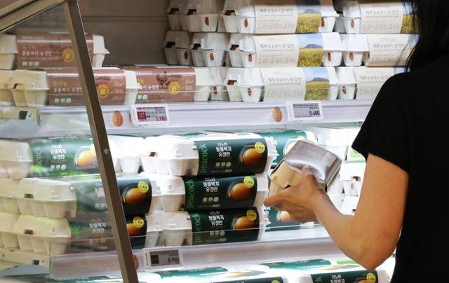 13일 서울 시내 한 대형마트 내 계란이 진열되어 있다. 뉴스1