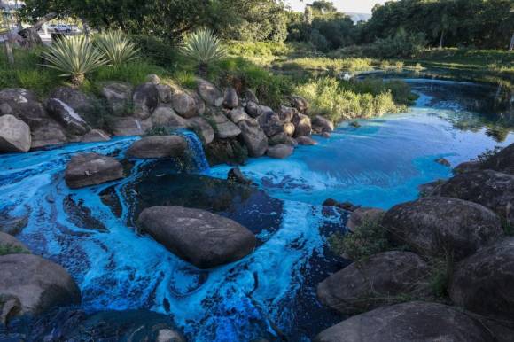브라질 상파울루 지역의 한 호수에 파란색 염료가 유입돼 호수에 사는 물고기와 동물들까지 파랗게 변하는 사고가 발생했다. 사진은 파란색으로 물든 호수. [사진=엑스(옛 트위터)]