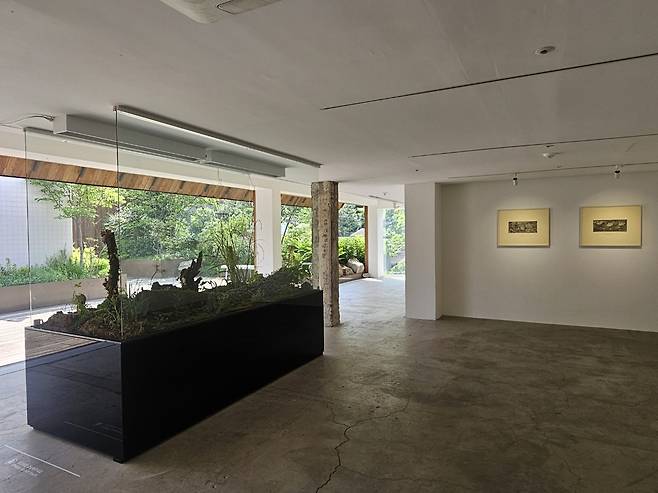 Exhibition view of "The Invisible Landscape" at Patti Smith's exhibition "Soundwalk Collective & Patti Smith: CORRESPONDENCES" at piknic in Seoul (Park Yuna/The Korea Herald)