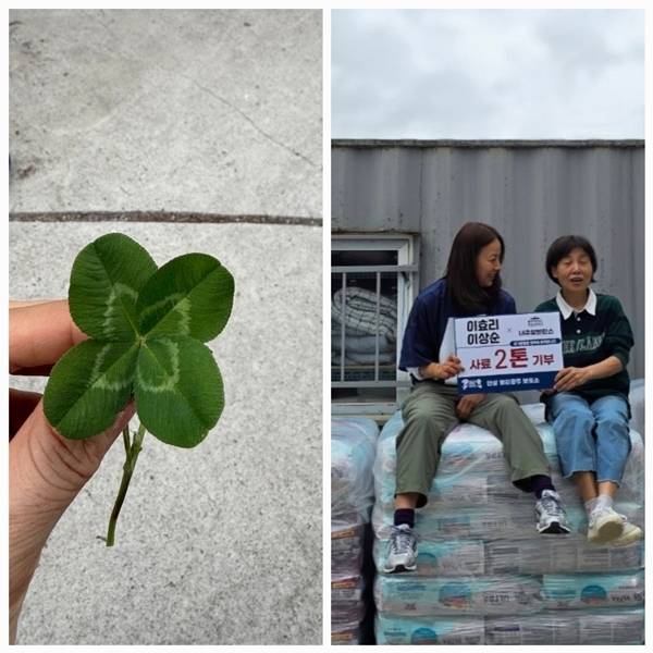 가수 이효리가 서울 이사 후 첫 행선지로 유기동물 보호소를 택했다. 사진=SNS