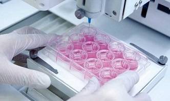 로킷헬스케어의 3D프린팅 인체 대체피부 모델 ‘에피템-2’.