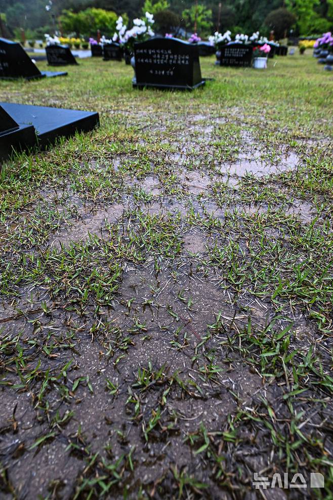 [광주=뉴시스] 이영주 기자 = 9일 오전 광주 북구 운정동 국립5·18민주묘지 2묘역에 강수로 인한 물웅덩이가 만들어져 있다. 2025.05.09. leeyj2578@newsis.com