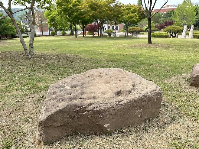 계명대 행소박물관으로 옮겨진 암각석 [촬영 윤관식]