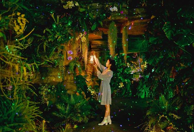 불 밝힌 국립세종수목원  [한국수목원정원관리원 제공. 재판매 및 DB 금지]