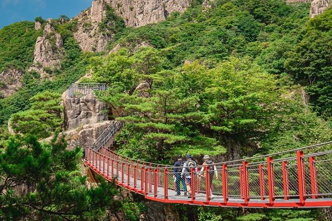 대둔산 구름다리 걷기  [완주군 제공. 재판매 및 DB 금지]