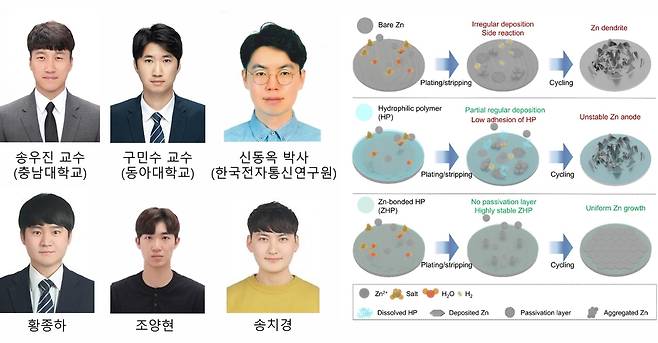 공동 연구팀 및 연구성과 [충남대 제공. 재판매 및 DB 금지]