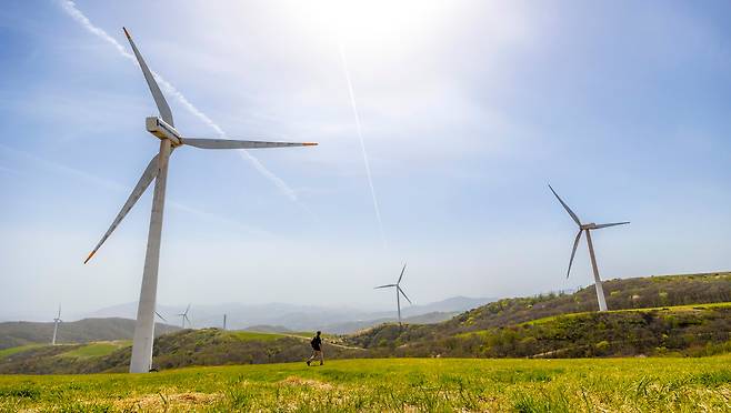 강원도 평창 선자령 정상석을 200여 m 앞에 두고 먼저 마중 나오는 건 초록 융단이다. 광활한 백두대간의 능선을 배경으로 서 있는 하얀 풍력발전기마저 선자령에선 하나의 풍경이 된다. / 이신영 영상미디어 기자