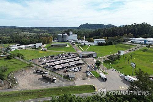 16일(현지시간) 드론을 이용해 촬영된 브라질 히우그란지두술주(州) 양계 시설[몬치네그루 로이터=연합뉴스. ]