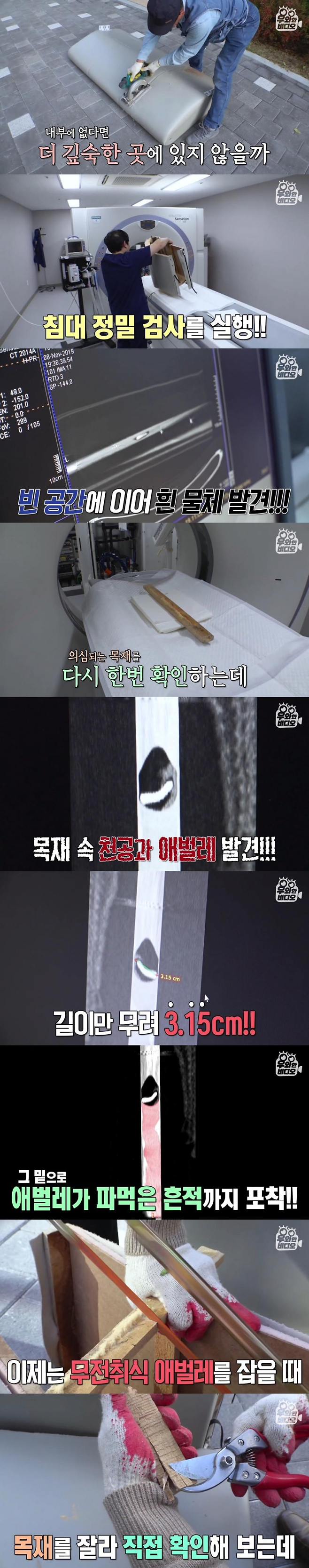 Internet_20250517_030623_5.png 침대에서 이상한 소리가나서 침대를 분해했는데요 .jpg