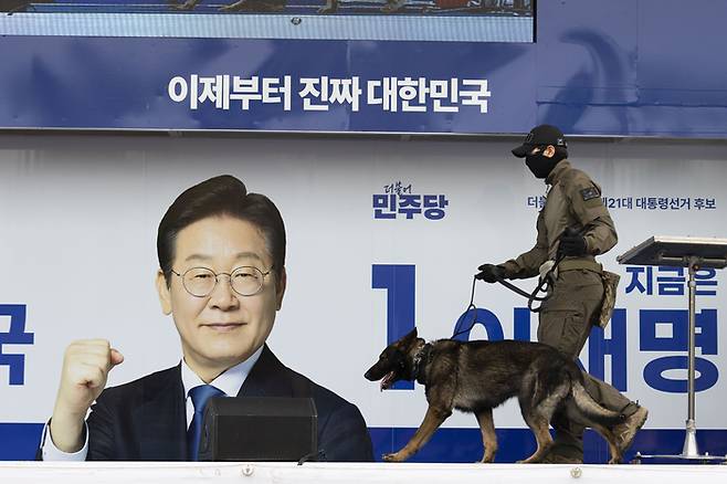 경찰특공대 대원이 폭발물 탐지견과 함께 16일 정오 전북 군산시 중앙로 구시청광장에서 열릴 예정인 이재명 후보의 유세가 열리기 전 수색을 하고 있다. [김호영 기자]