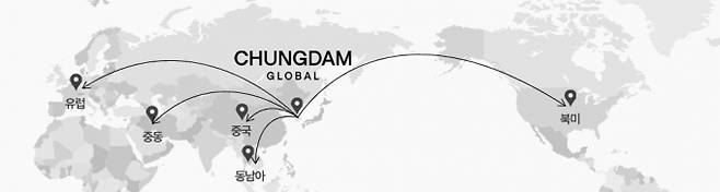 청담 글로벌 IR 자료 캡쳐./사진=청담글로벌