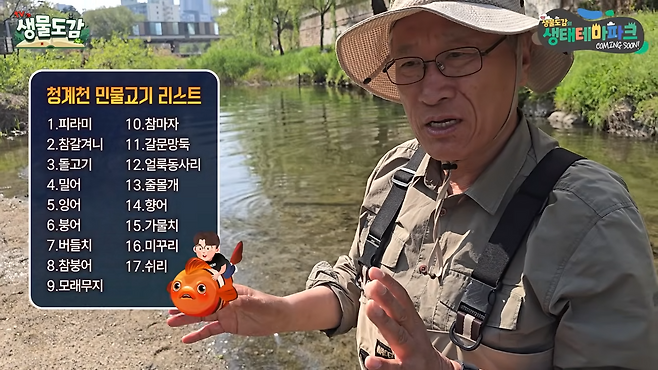 이완옥 박사가&nbsp;청계천 서식 어류에 대해 설명하고 있다. TV생물도감 영상 캡처