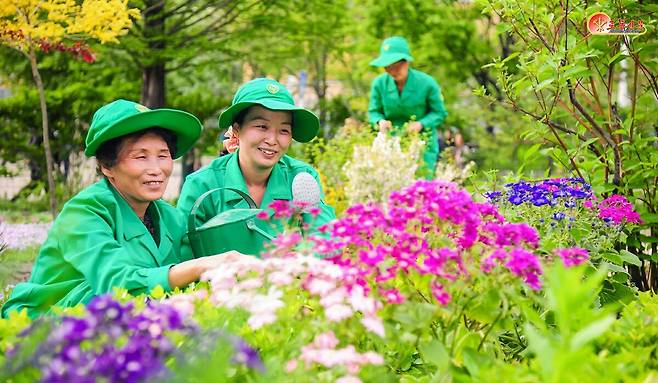 북한 노동당 기관지 노동신문은 15일 만경대구역원림사업소에서 "수도의 거리를 더욱 아름답게 가꾸어갈&nbsp;열의에 넘쳐 있는" 노동자들을 조명했다.