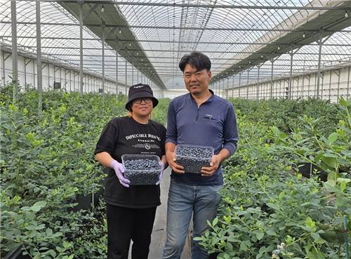 최세호(왼쪽)·김나은 부부 [최세호씨 제공.재판매 및 DB금지]