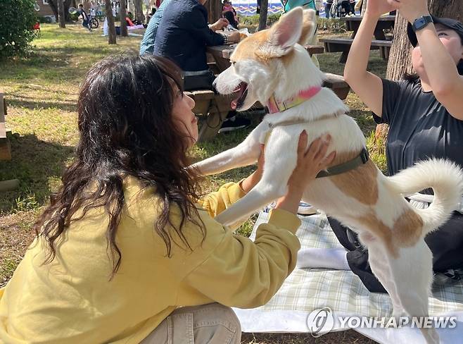 함께 살 '개' ['와르와르 하우스' 제공. DB 및 재판매 금지]