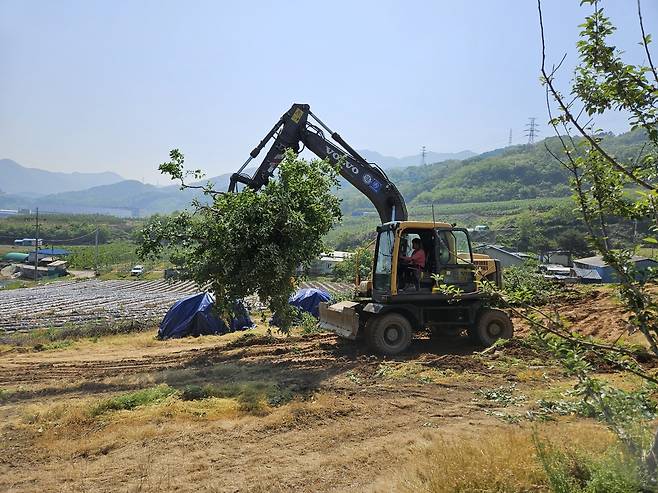 과수화상병으로 인한 매몰작업 [충주시 제공. 재판매 및 DB 금지]