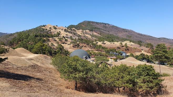 대가야고분군 전경.