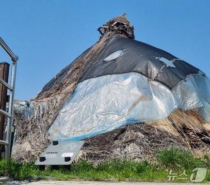 파주시 법원읍 대능리 '신석기 유적지 공원' 내 조성된 움집의 볏짚 지붕이 무너져 내려 흉물스럽게 방치되어 있다. (파주시민네트워크 제공, 재판매 및 DB금지)