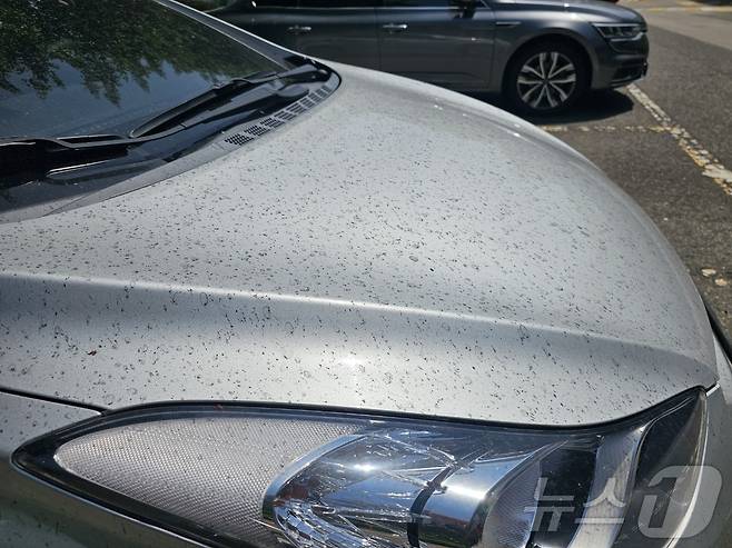 18일 오후 금호타이어 광주공장 인근에 주차된 승용차 본네트가 고무 분진으로 뒤덮여 있다. 2025.5.18/뉴스1 ⓒ News1 최성국 기자