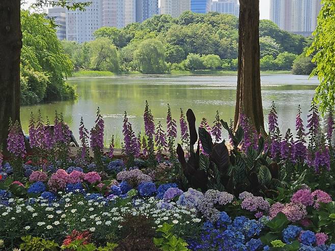 오늘날씨, 내일날씨, 주간날씨 예보 ⓒbnt뉴스= 일요일인 오늘(18일) 날씨는 전국이 구름 많다가 오전부터 차차 맑아지겠으나, 제주도는 대체로 흐리겠다. 기상청 오늘날씨 예보에 따르면 이날 기온은 평년과 비슷하거나 조금 낮아 나들이하기 좋은 날씨를 보이겠다.