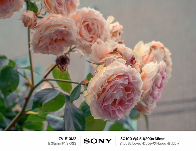 7ded8468f5dc3f8650bbd58b368571683c92e0d9