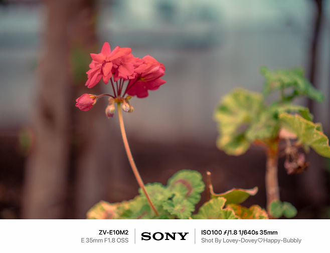 7dec8768f5dc3f8650bbd58b3685706933515701