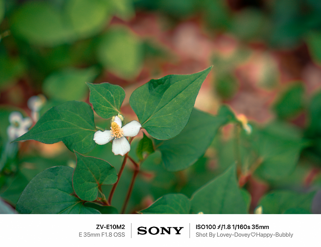 7def8668f5dc3f8650bbd58b36857d6d48ea87b5