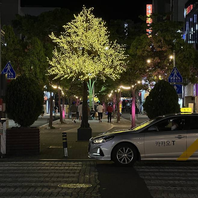 15.jpg 전라남도 목포시 기록