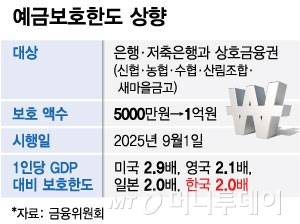 예금보호한도 상향/그래픽=최헌정