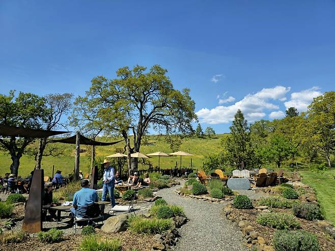 콜롬비아 고지 씬클라인 와이너리.&nbsp;