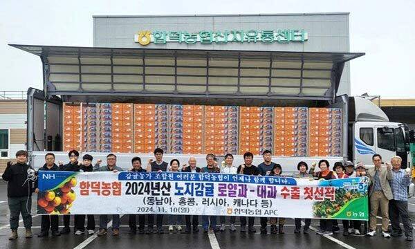 2024년 11월 제주 함덕농협 2024년산 노지감귤 수출 첫 선적 모습. 농협 제주본부 제공