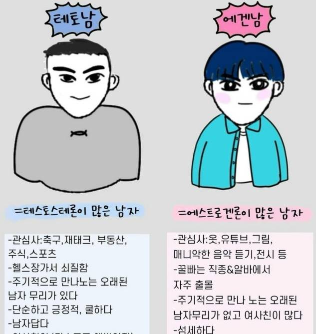 이른바 '테토남'(왼쪽)과 '에겐남'(오른쪽)을 설명하는 일러스트 [인스타그램 캡처. 재판매 및 DB 금지]