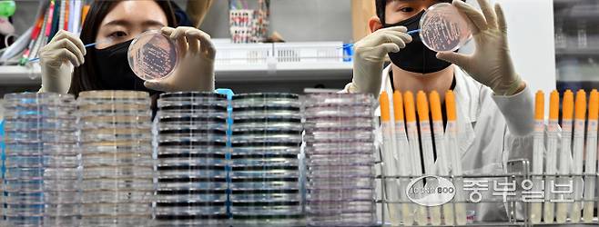 기온이 오르며 전국적으로 식중독 위험이 증가하고 있는 19일 오전 수원시 권선구 경기도보건환경연구원에서 연구원들이 식중독균 배양분리작업을 시연하고 있다. 김경민기자