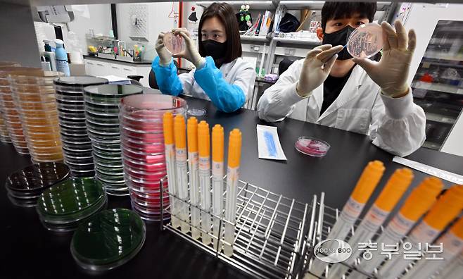 기온이 오르며 전국적으로 식중독 위험이 증가하고 있는 19일 오전 수원시 권선구 경기도보건환경연구원에서 연구원들이 식중독균 배양분리작업을 시연하고 있다. 김경민기자