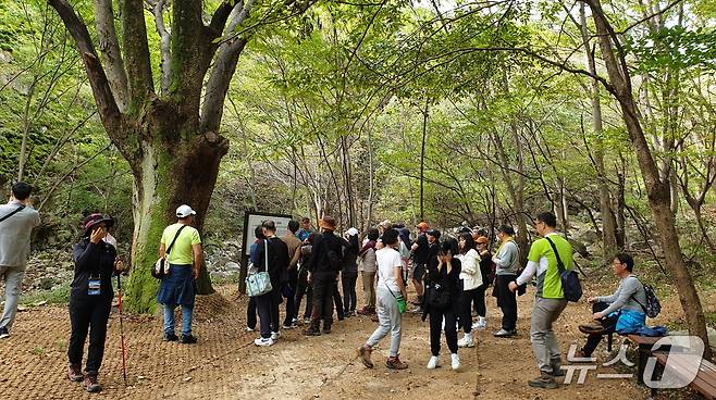 계룡하늘소리길 탐방 현장(계룡시 제공.재판매 및 DB금지)/뉴스1