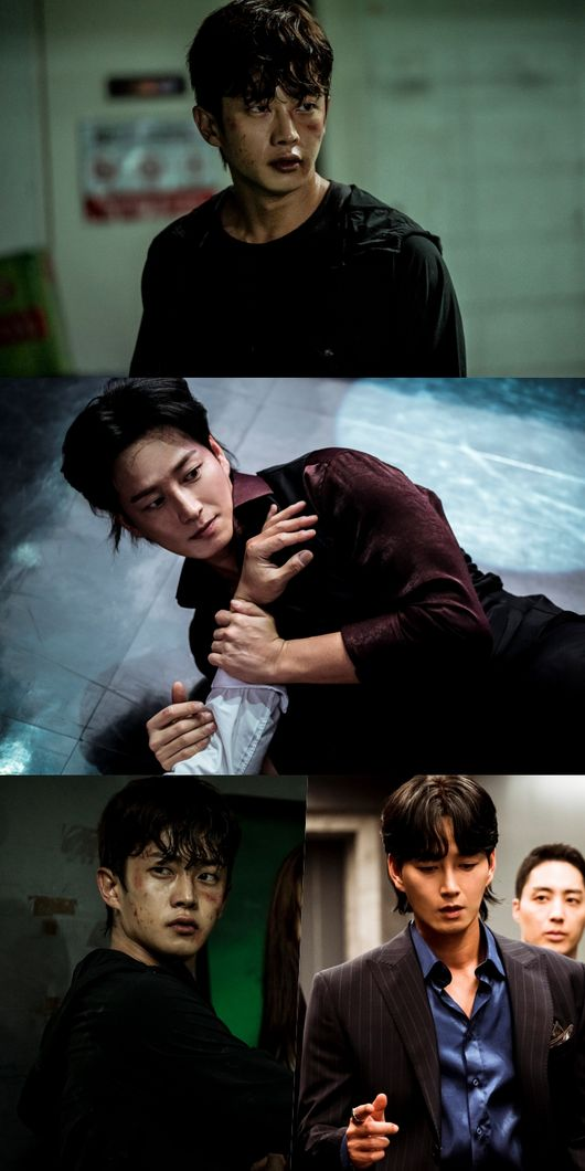 ‘샤크: 더 스톰’. 사진| 티빙