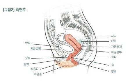 17655a04f704fb8cc.jpeg 자궁까지 삽입이 안 되는 이유...jpg 자궁까지 삽입이 안 되는 이유...jpg 자궁까지 삽입이 안 되는 이유...jpg