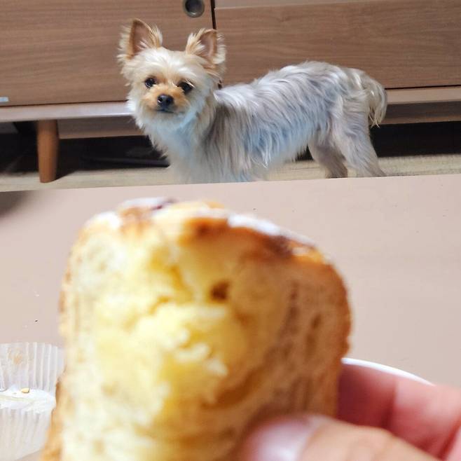 20250519_063805.jpg 저녁 코스트코 통 채끝등심 손질해서 냠냠