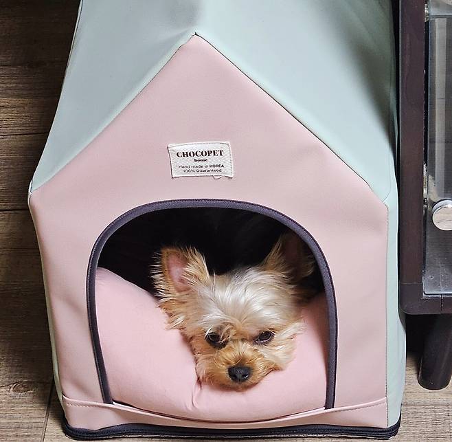 20250518_231756.jpg 저녁 코스트코 통 채끝등심 손질해서 냠냠