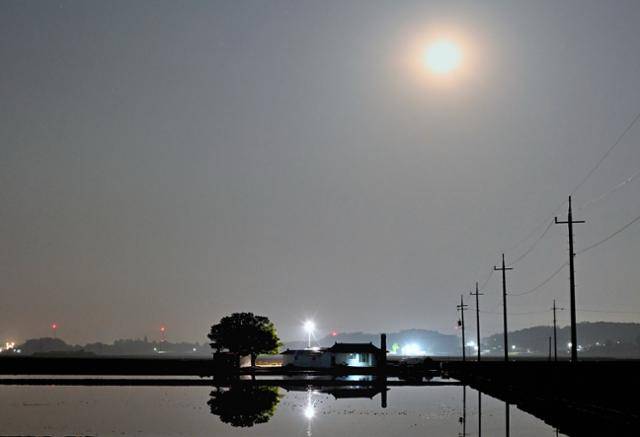 충남 당진시 우강면의 모내기철은 논마다 물이 가득 차면 주변 집들이 물에 비쳐 마치 수면 위에 떠 있는 듯한 신비로운 모습을 연출한다.