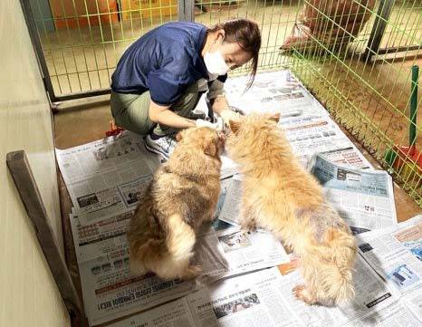 가수 이효리가 유기 동물 보호소에 사료 2톤을 기부했다. /사진=내추럴발란스 인스타그램