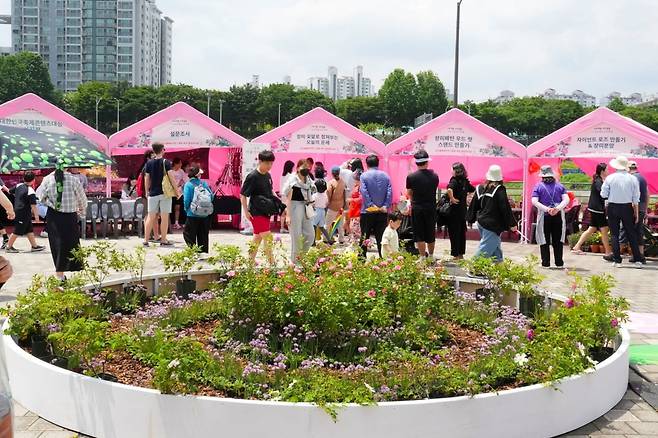 중랑구 장미 축제를 찾은 시민들. 중랑구 제공