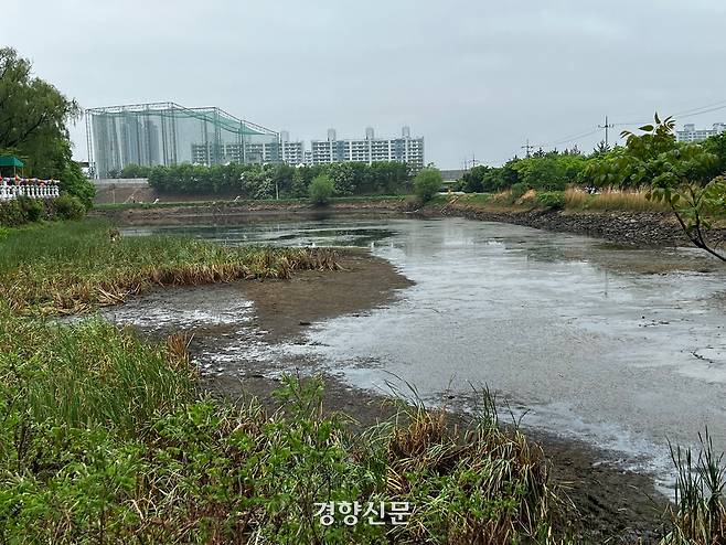 2022년 4월26일 대구 수성구 망월지의 물이 말라 곳곳이 바닥을 보이고 있다. 백경열 기자