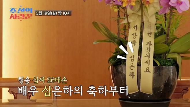 청송 심씨인 배우 심은하가 19일 방송되는 TV조선 예능 '조선의 사랑꾼'에서 코미디언 심현섭에게 육성으로 결혼 축하 인사를 전한다. /사진=TV조선 예능 '조선의 사랑꾼'