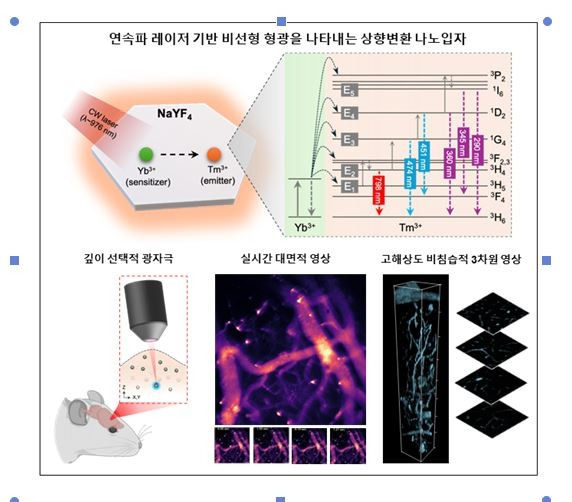 연속파 레이저 기반 상향변환 나노입자를 활용한 비선형 형광 영상 원리와 응용 예시.[UNIST 제공]