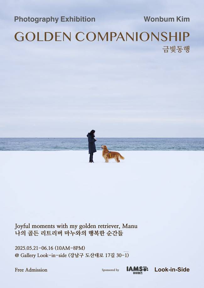 에이스팩토리 제공