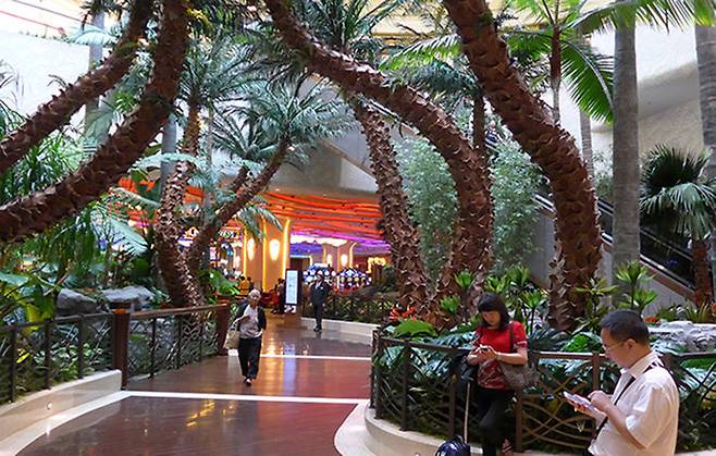 마카오 코타이지구의 한 카지노 입구는 정글에들어 가는 듯하게 야자나무로 장식되어 있다.(사진=뉴시스) *재판매 및 DB 금지
