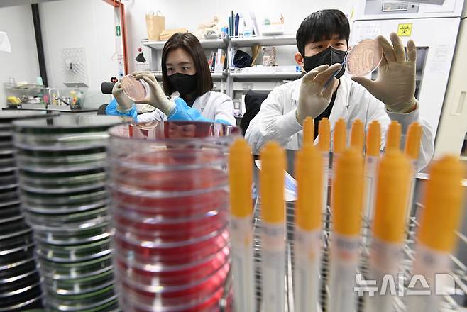 [수원=뉴시스] 김종택 기자 = 19일 경기 수원시 권선구 경기도보건환경연구원에서 연구원들이 식중독균 배양분리작업을 하고 있다.최근 이른 더위가 시작되면서 학교 급식 등 집단급식소 식중독 의심 신고는 총 110건으로 최근 3년 평균(84건)보다 31% 증가했다. 2025.05.19. jtk@newsis.com